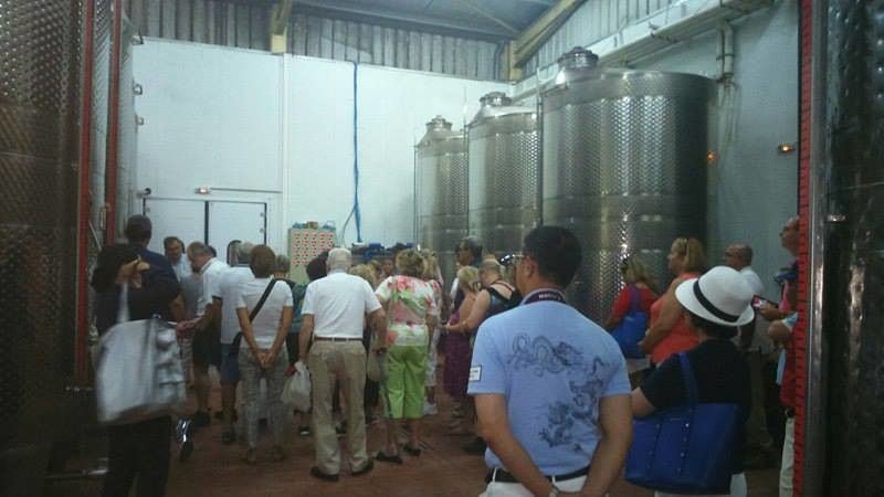 tourists listening to a man giving a tour at 'Theodorakakos Estate' facilities